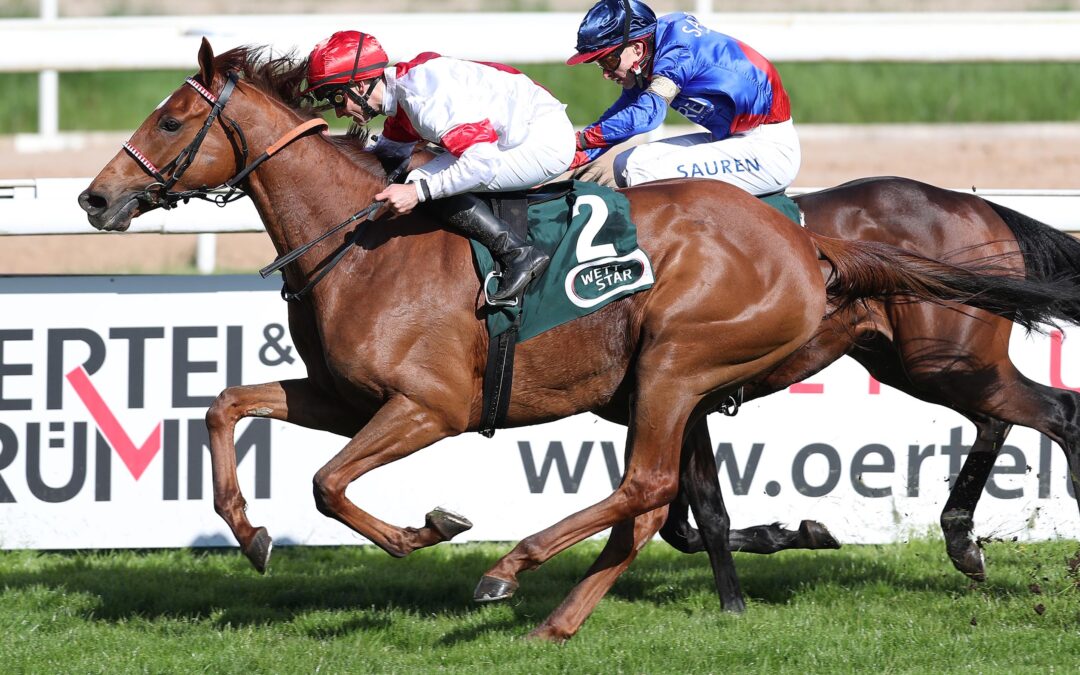 ZWEITER UND VIERTER IM GP