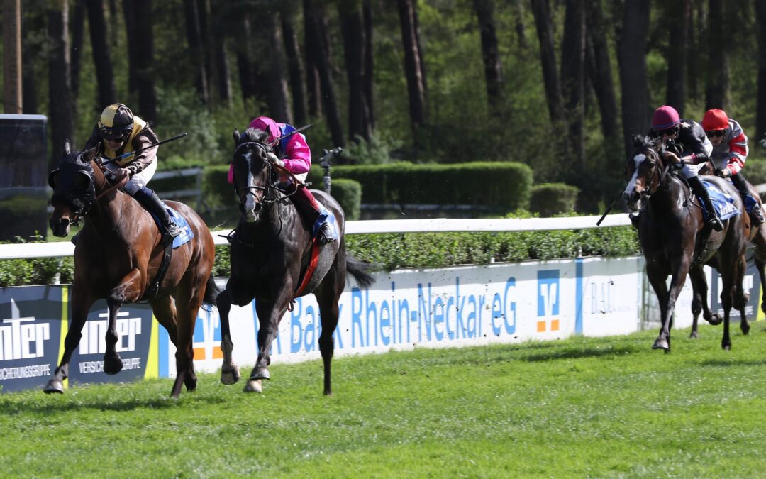 KEINE BAHN FÜR MISTER H