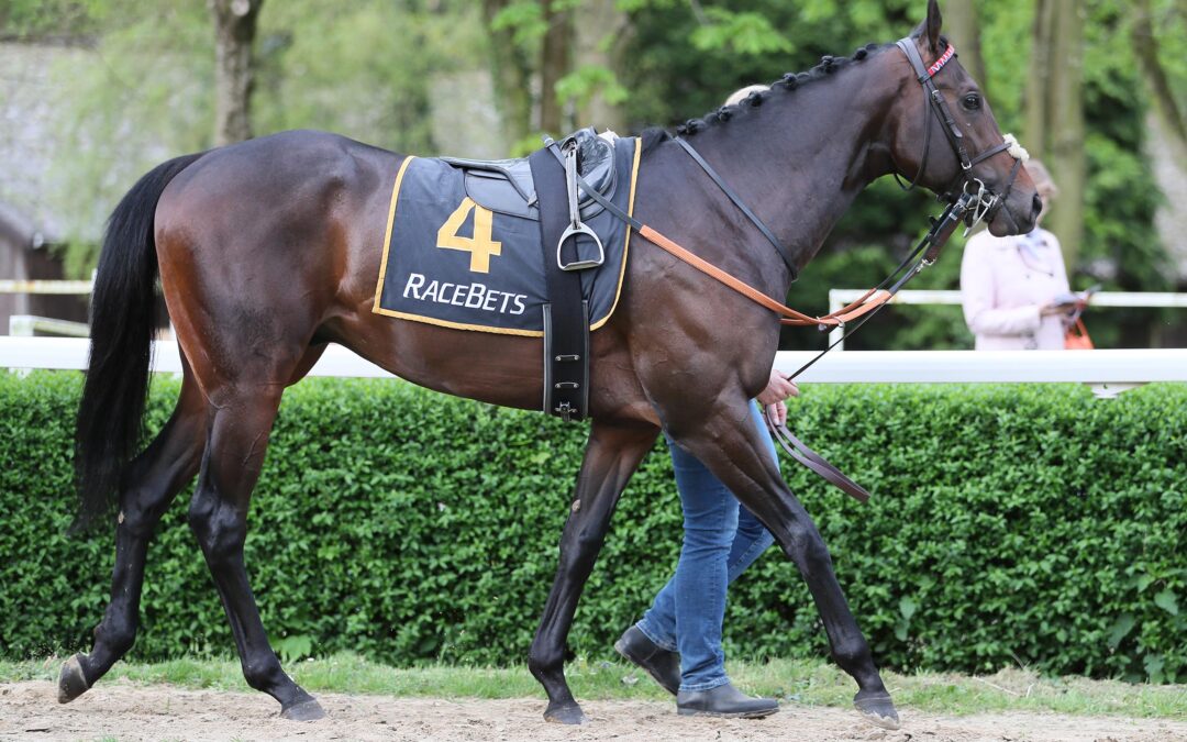 BODEN PASSTE WOHL NICHT