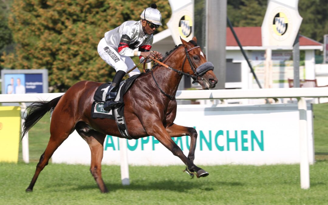 EIN PFERD FÜRS DERBY