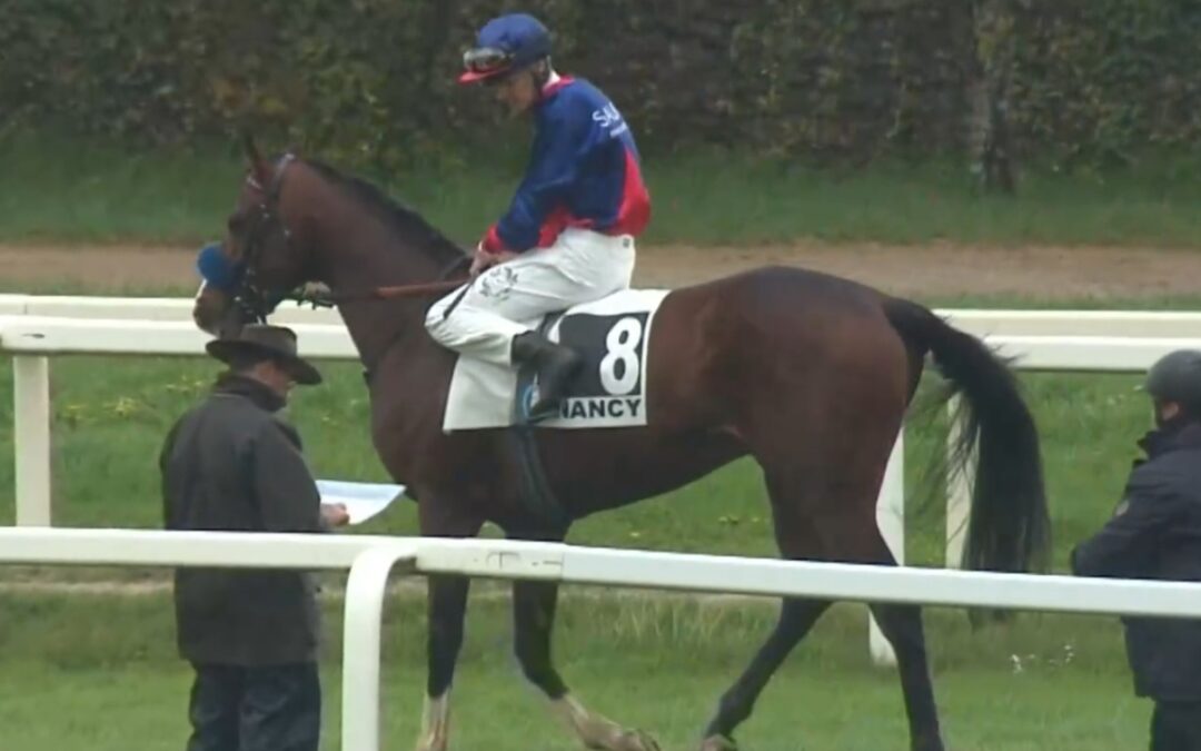 PLATZ VIER BEIM DEBUT