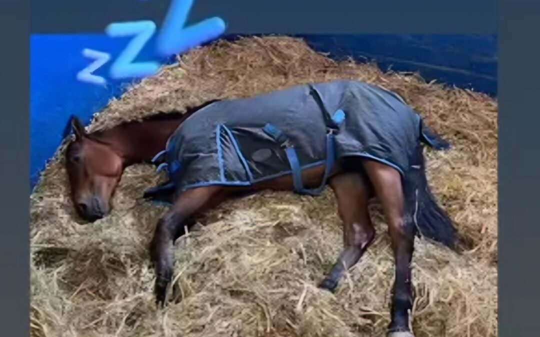 SCHLAFEN STATT WASSER