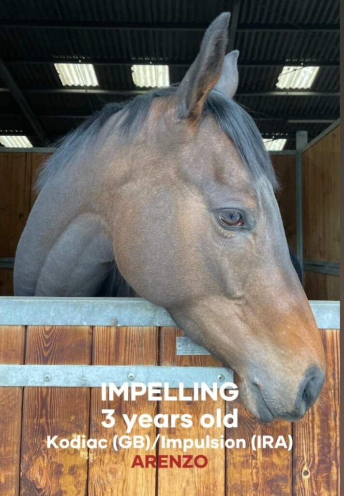 IMPELLING NICHTSTARTER
