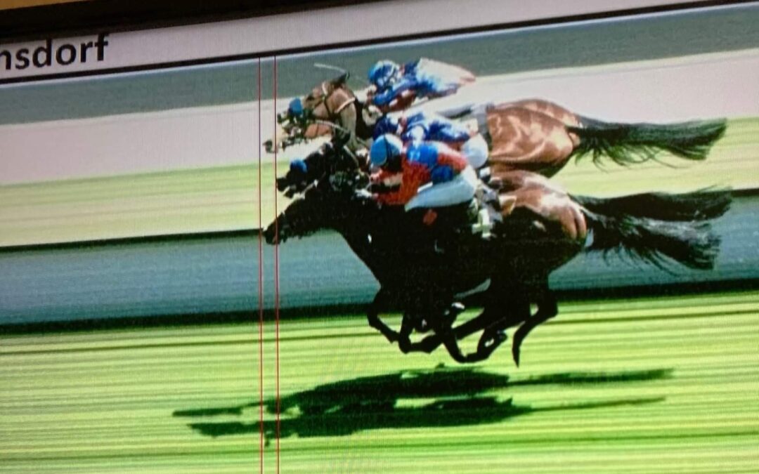 FANG MICH – SO ENG WAR’S