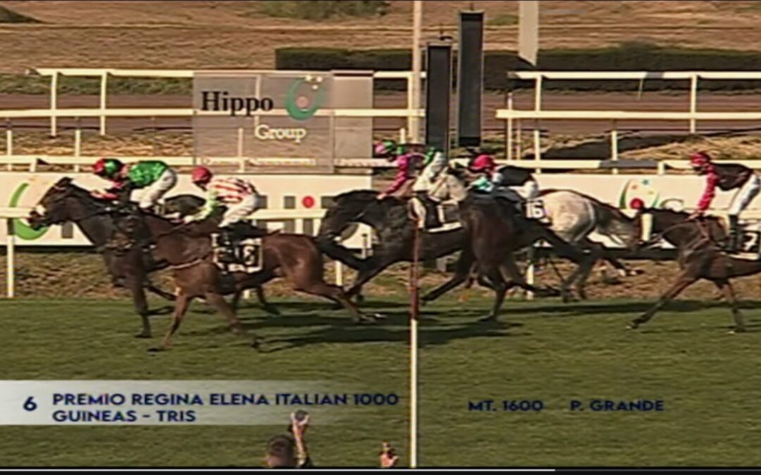 SECHSTE IN 1.000 GUINEAS