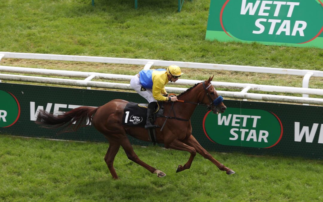 HARZBURG IN SAN SIRO