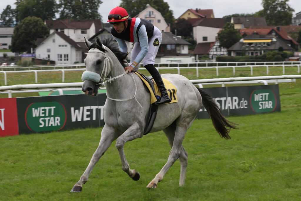 1.000 GUINEAS STARTERIN