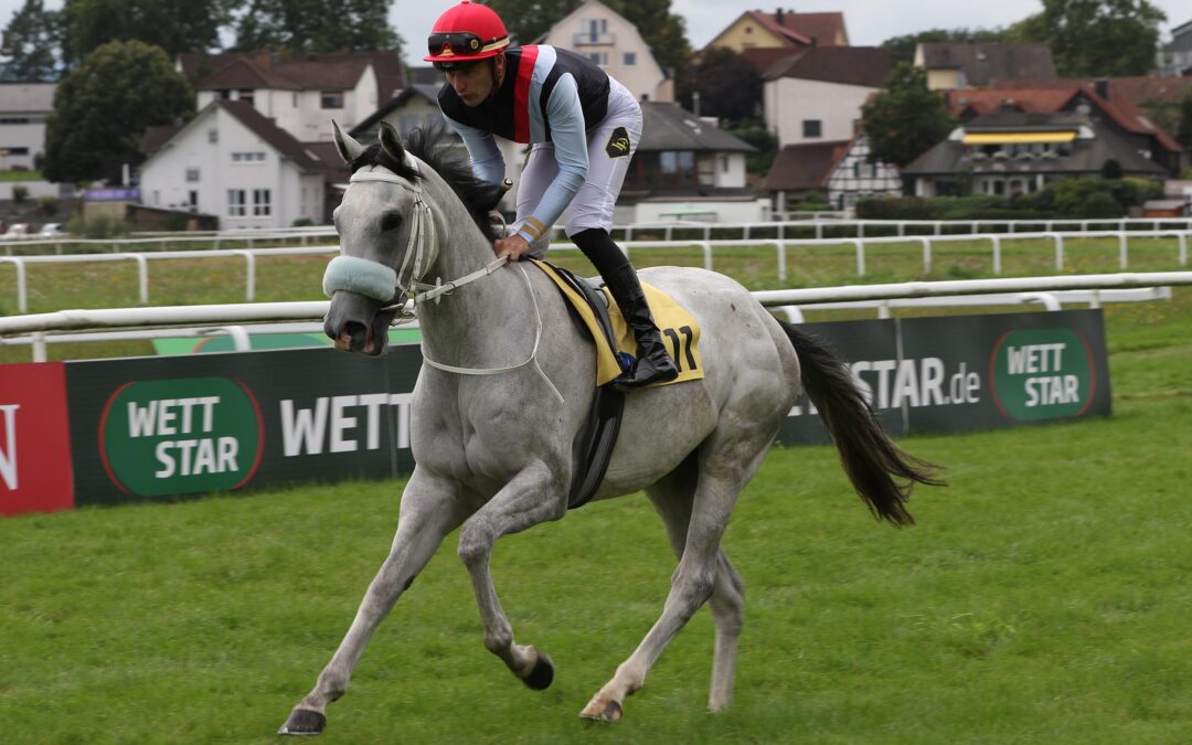 1.000 GUINEAS STARTERIN