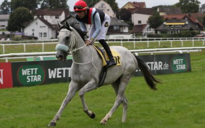 1.000 GUINEAS STARTERIN