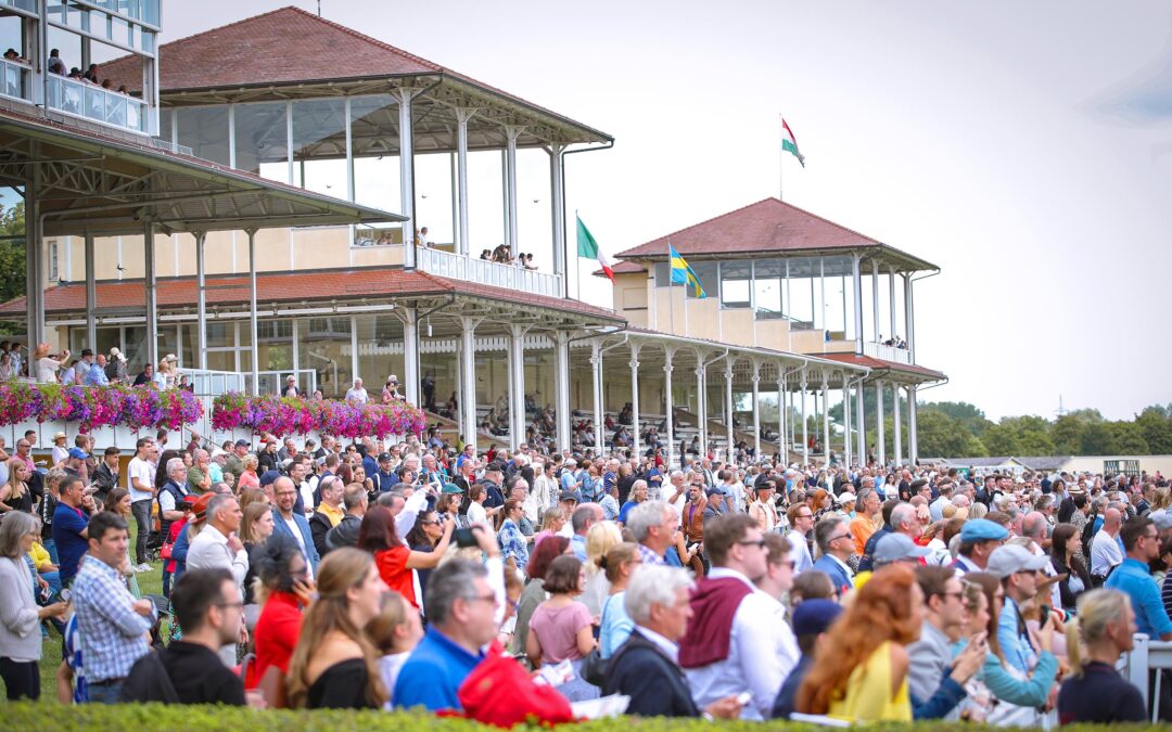 EIN DUTZEND FÜR BADEN