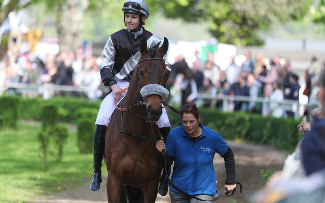 KNAPP AM GELD VORBEI