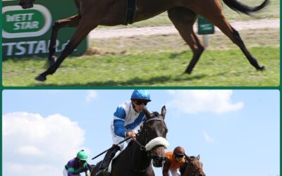 DUO IM DIANA TRIAL