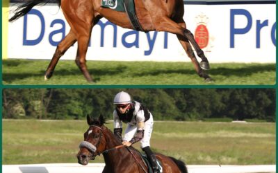 ZWEIMAL HANDICAP