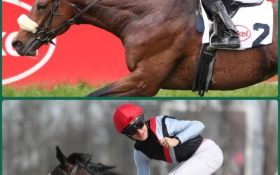 DUO IM DERBY TRIAL