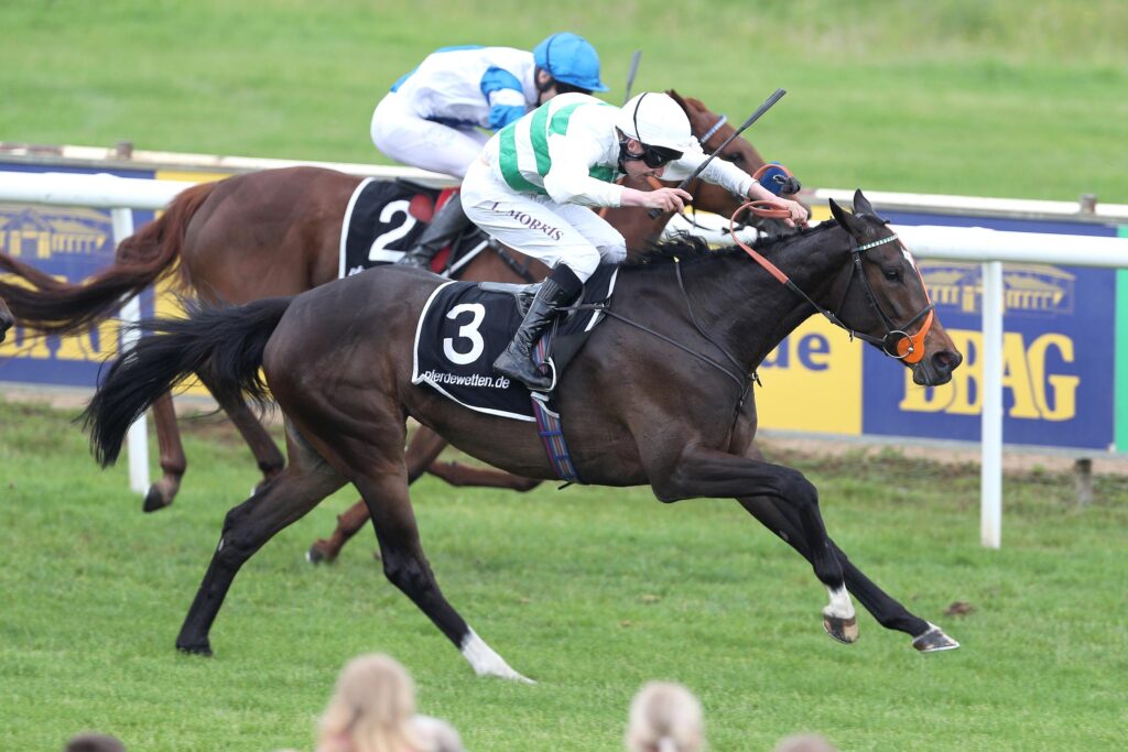 TOLLES BLACK TYPE