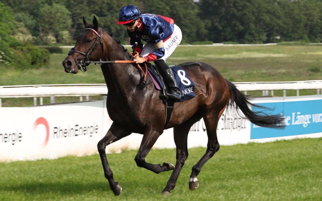 PENALTY JETZT 95 KILO