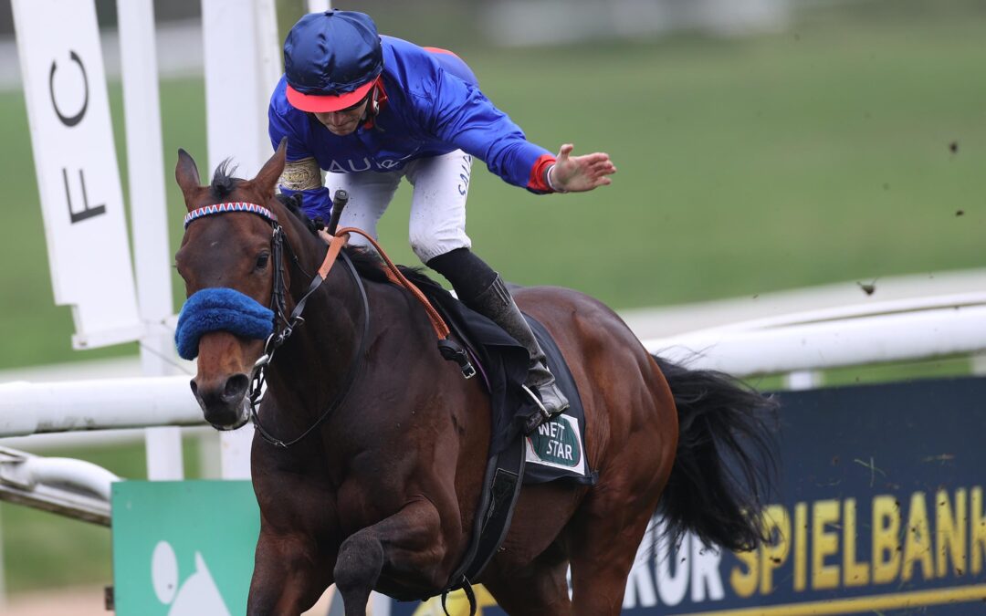 SARATOGA UND CURRAGH WINKEN