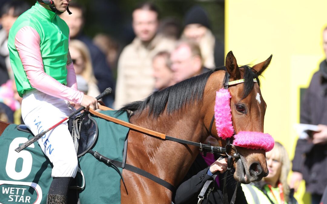 ERSTEN SIEG IM BLICK