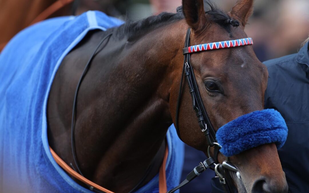 WIEDER KURZ – MARKE BLEIBT