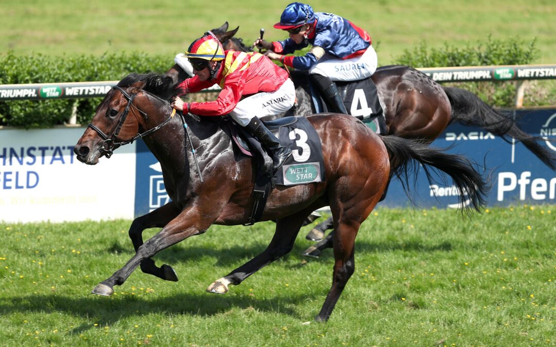 ZWEITER UND SECHSTER