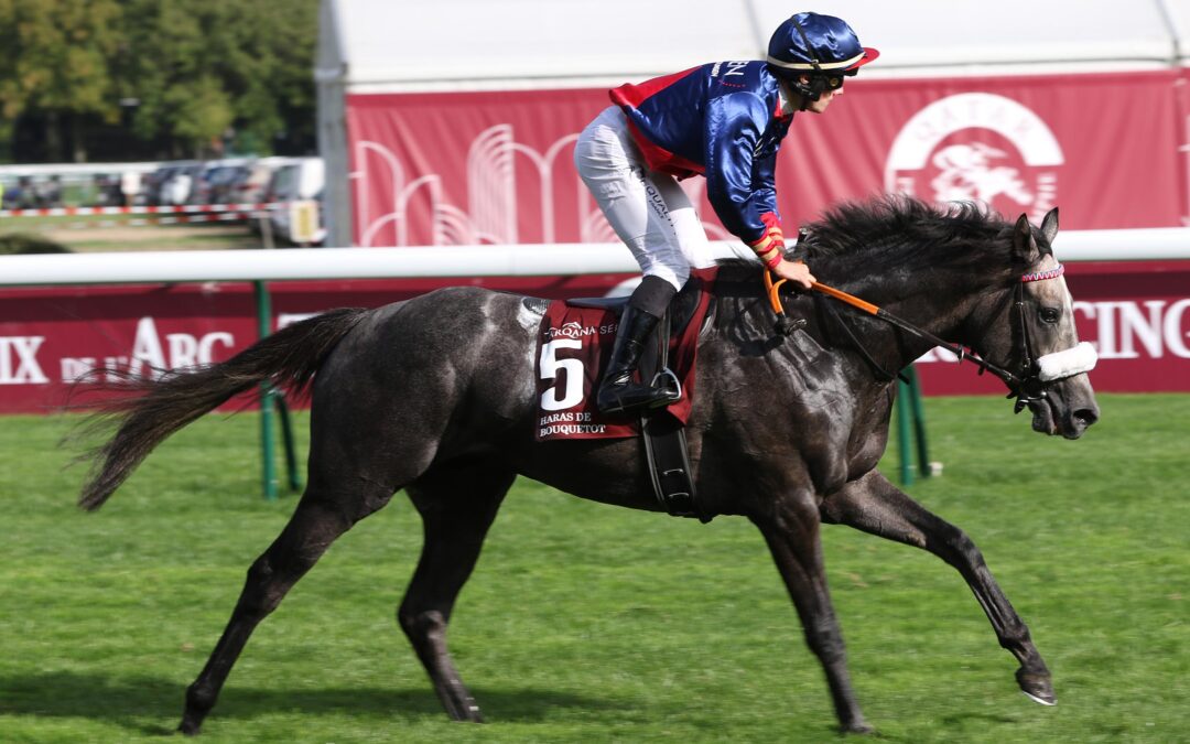 SIEGLOS AM DONNERSTAG