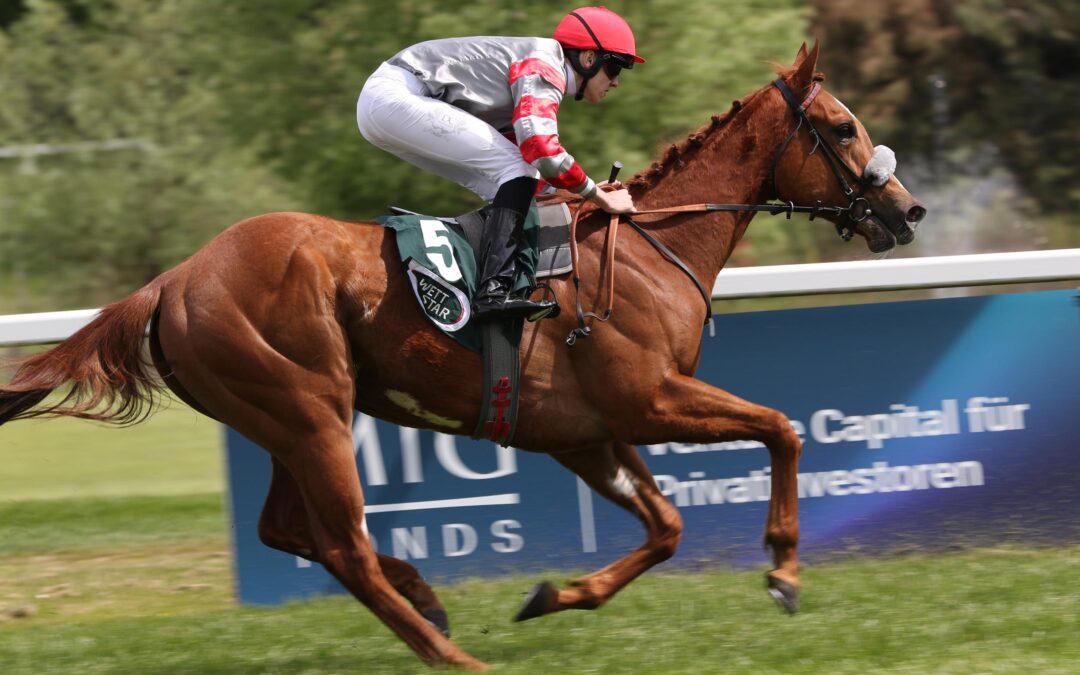 MADEMOISELLE NINET TOP