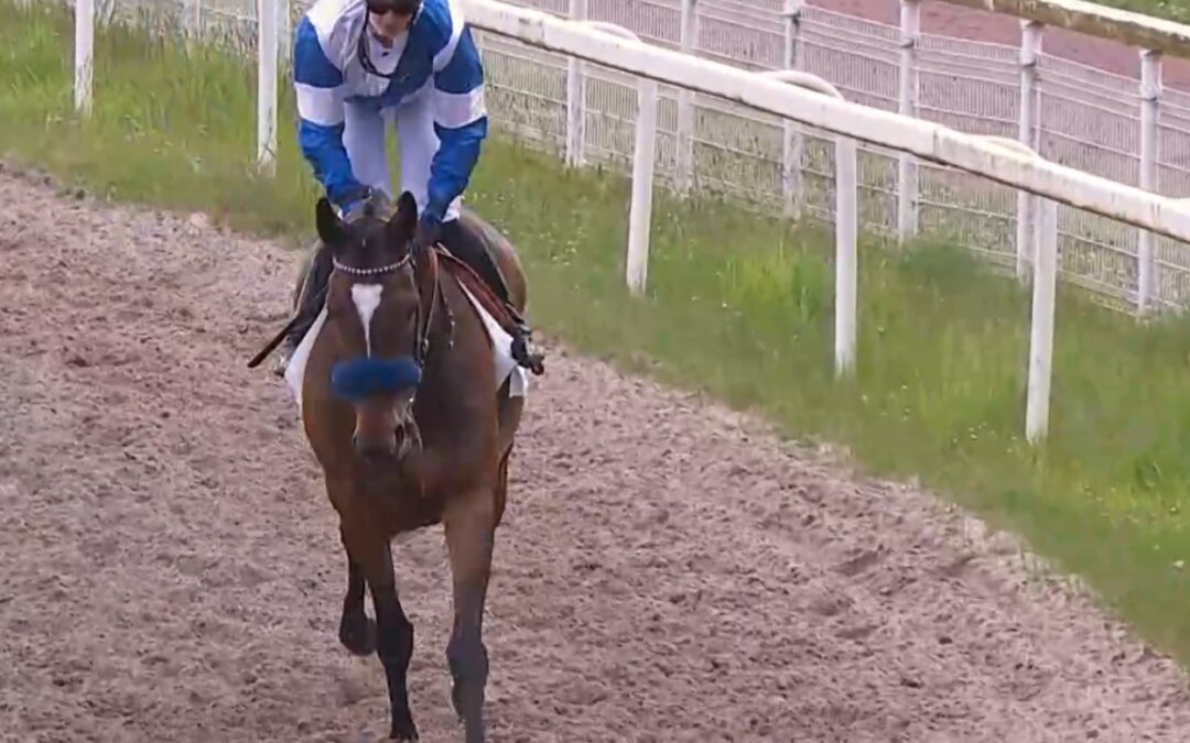 MIT CHANCEN UNTERWEGS