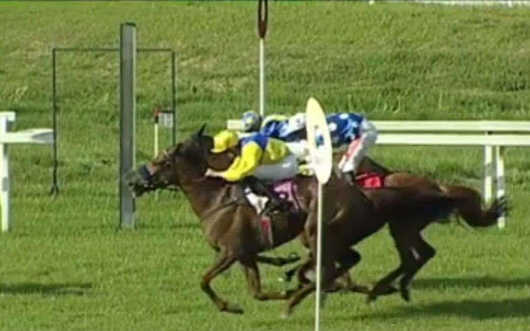 BLACK TYPE – ZIEL ERREICHT