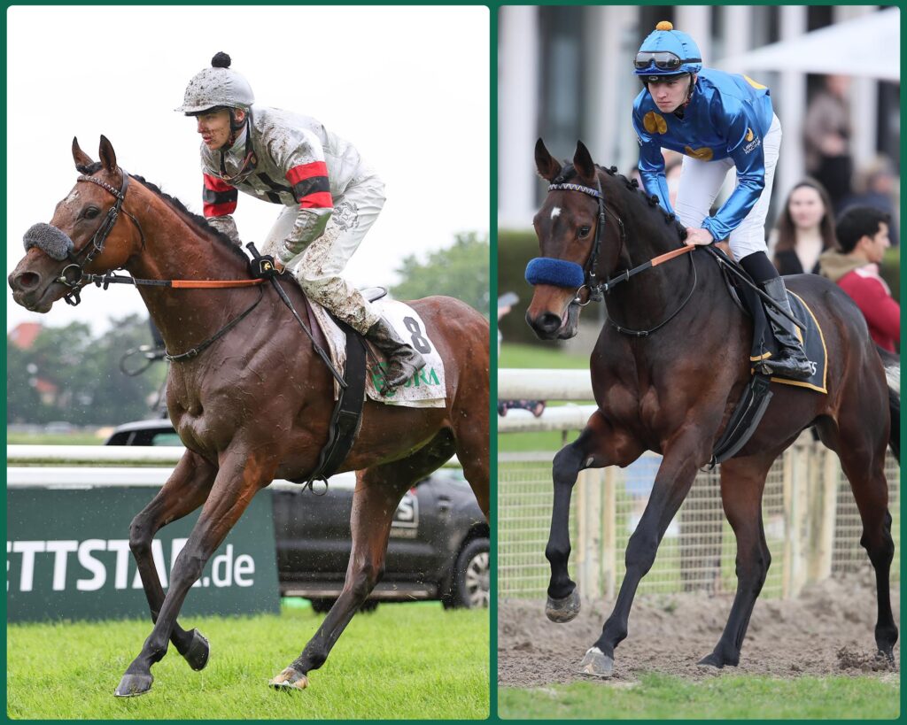 DERBY DOPPELPACK