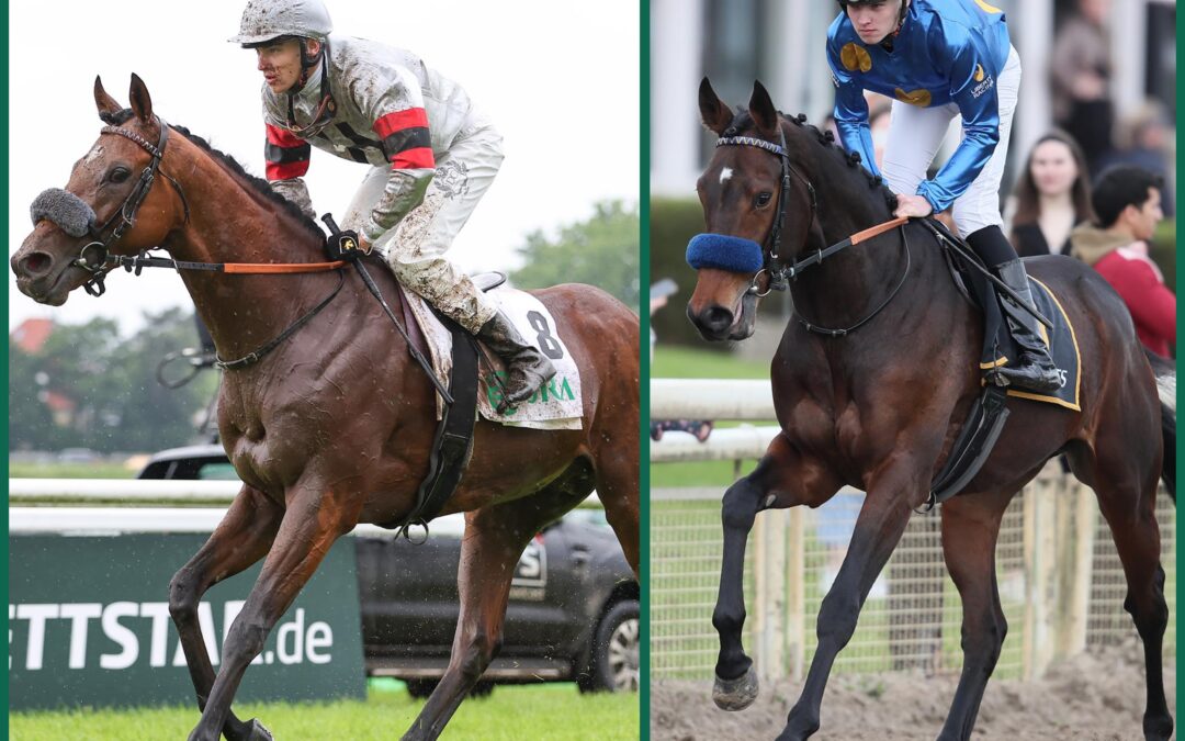 DERBY DOPPELPACK