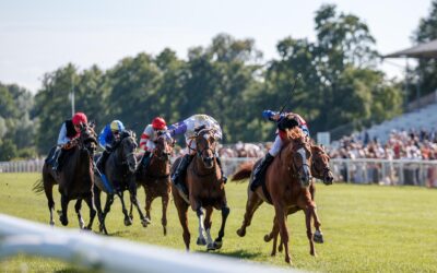 UNPLACIERT IM DERBY TEST