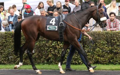 SPÄTES SAISON DEBUT
