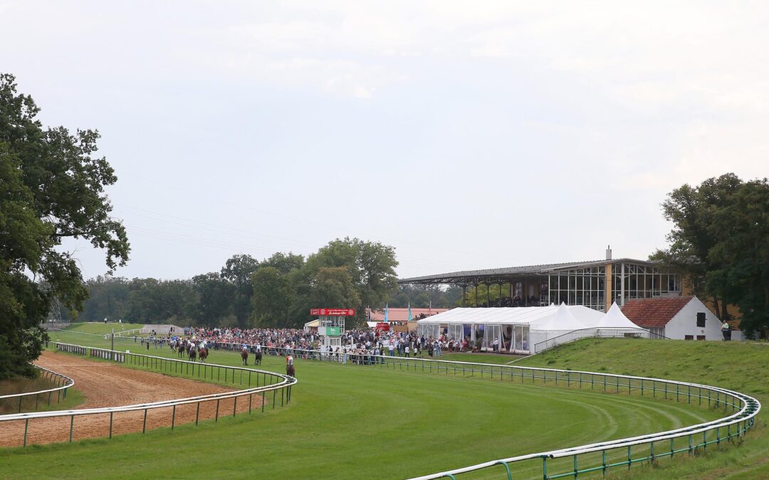 MITTELFELD PLÄTZE