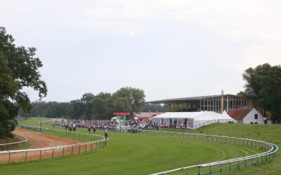 MITTELFELD PLÄTZE