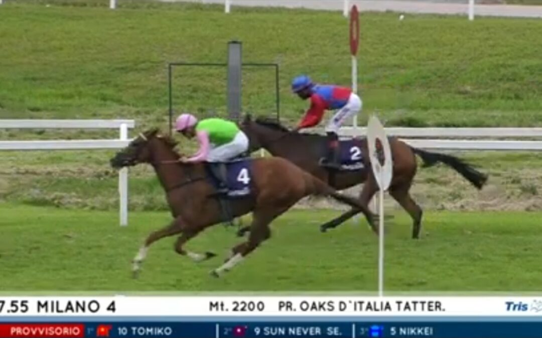 VIERTE IN ITALIAN OAKS