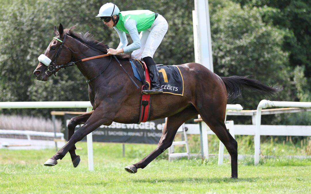 PARAMOUNT PARK SOUVERÄN