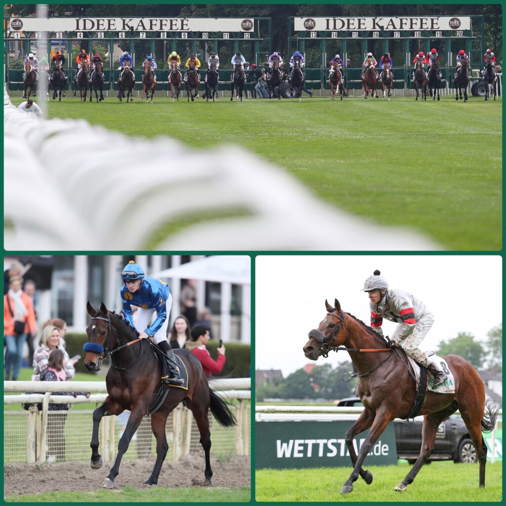 DERBY – BOXEN 7 UND 20