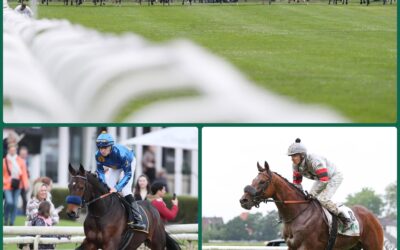 DERBY – BOXEN 7 UND 20