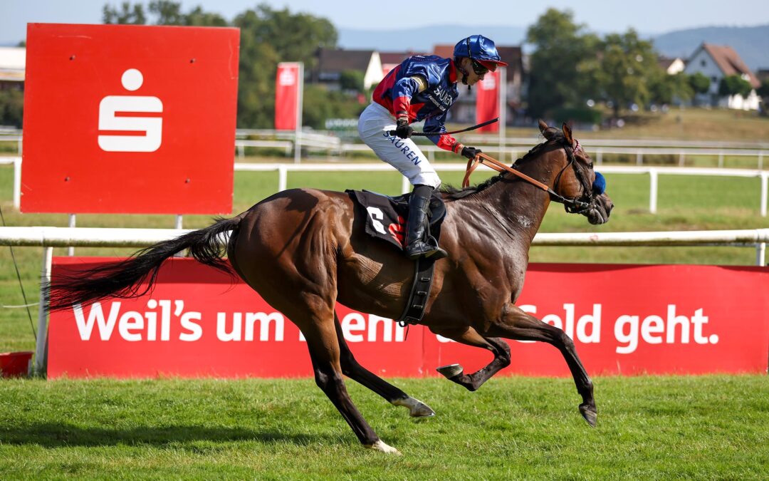 JETZT AUCH GRUPPE SIEGER