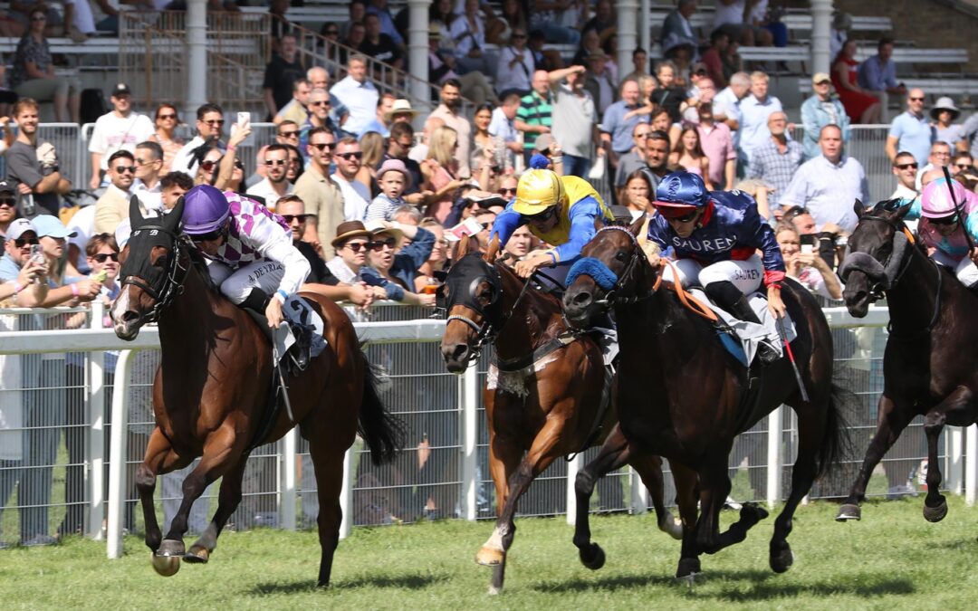 NUR EINER WAR STÄRKER