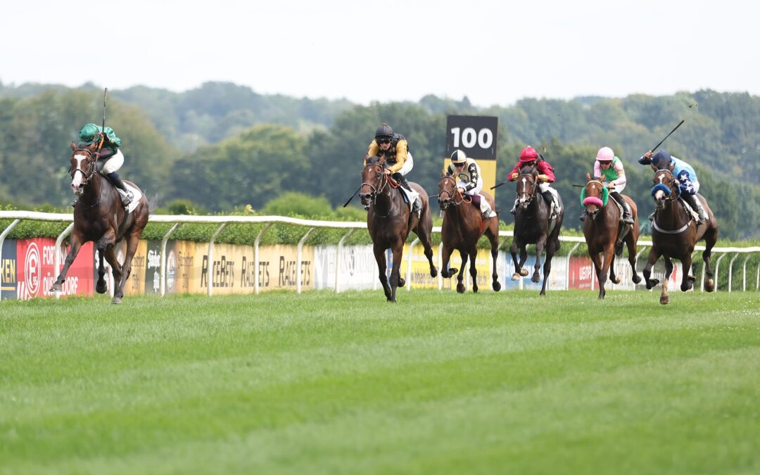 BLACK TYPE MUSS WARTEN