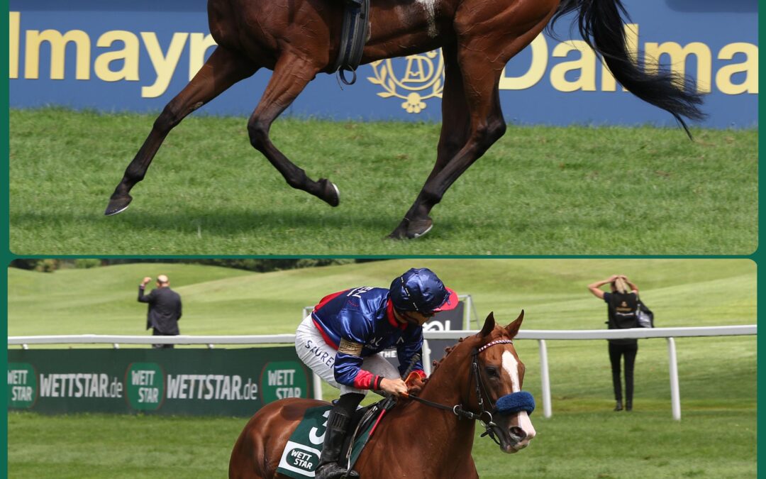 ZWEIMAL LISTENKLASSE