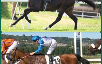 DUO IN COMPIEGNE