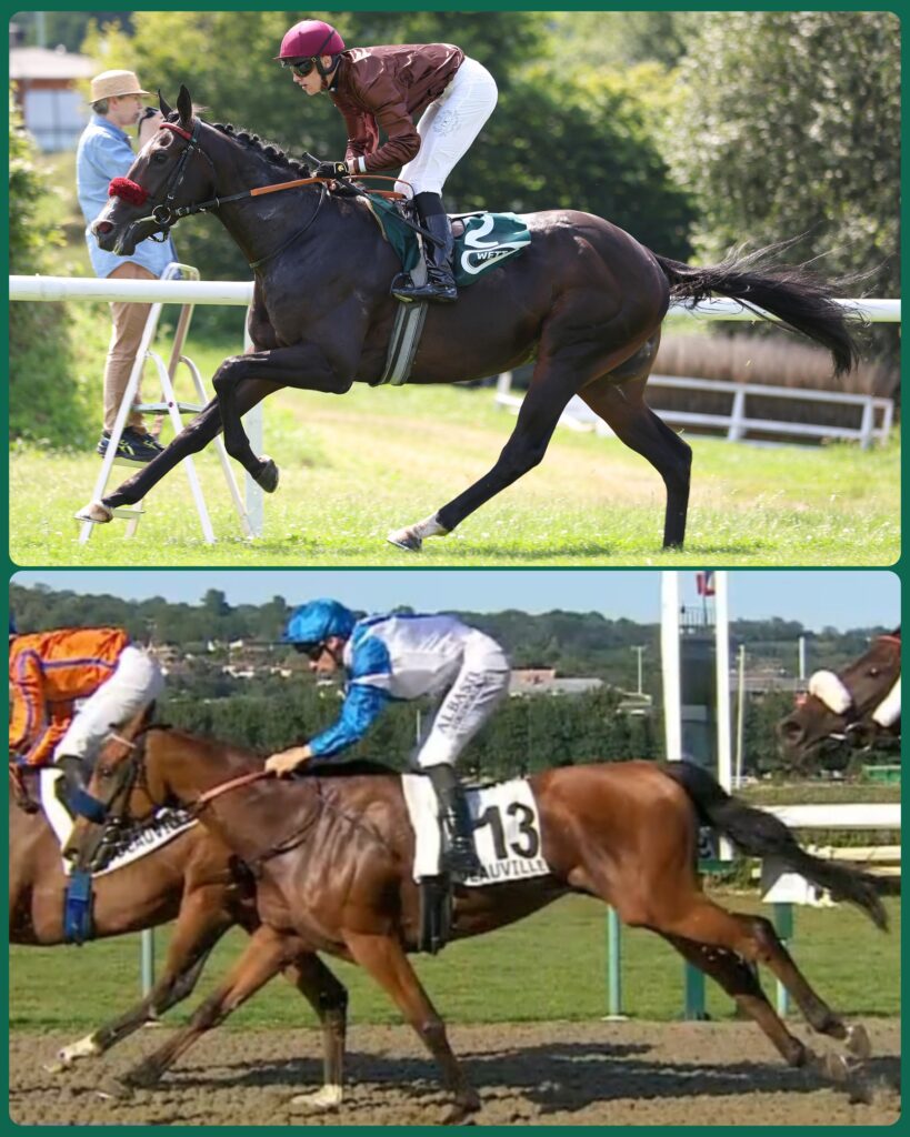 DUO IN COMPIEGNE
