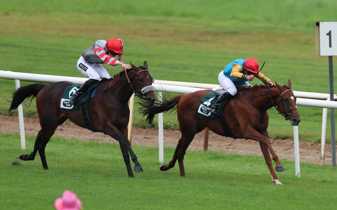 SEHR GUTES LEBENSDEBUT