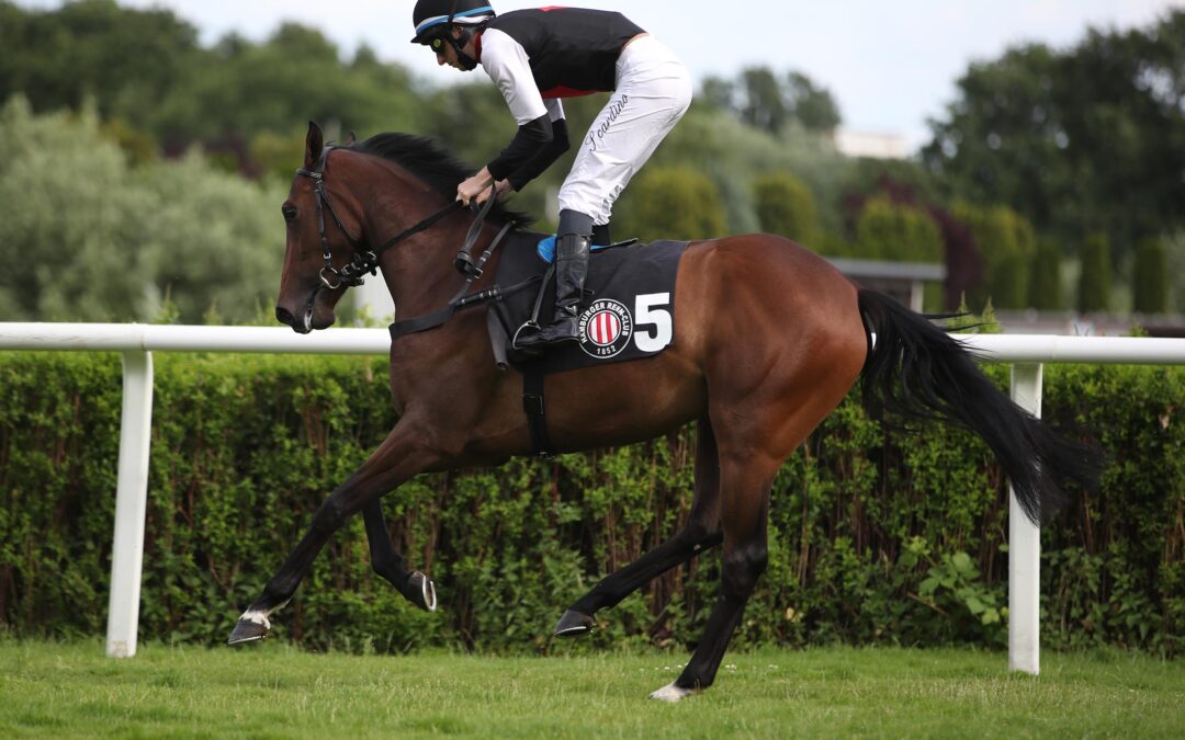 NEUE DEBUTIERT IN VICHY