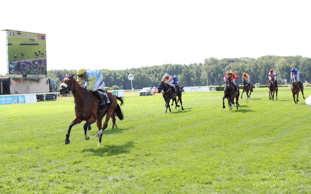 DIESMAL KEIN BLACK – TYPE