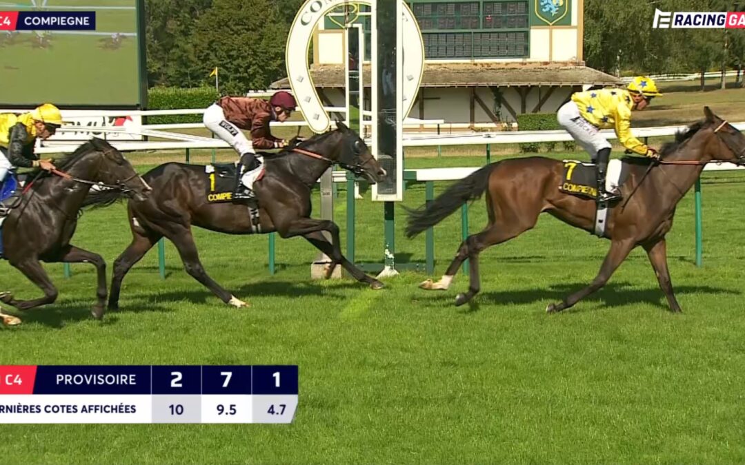 PLATZ DREI IN RECLAMER