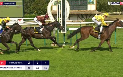 PLATZ DREI IN RECLAMER