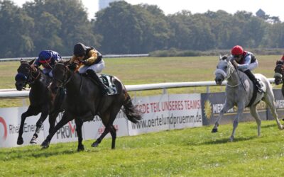 ZWEI – DREI IN SPRINT TROPHY